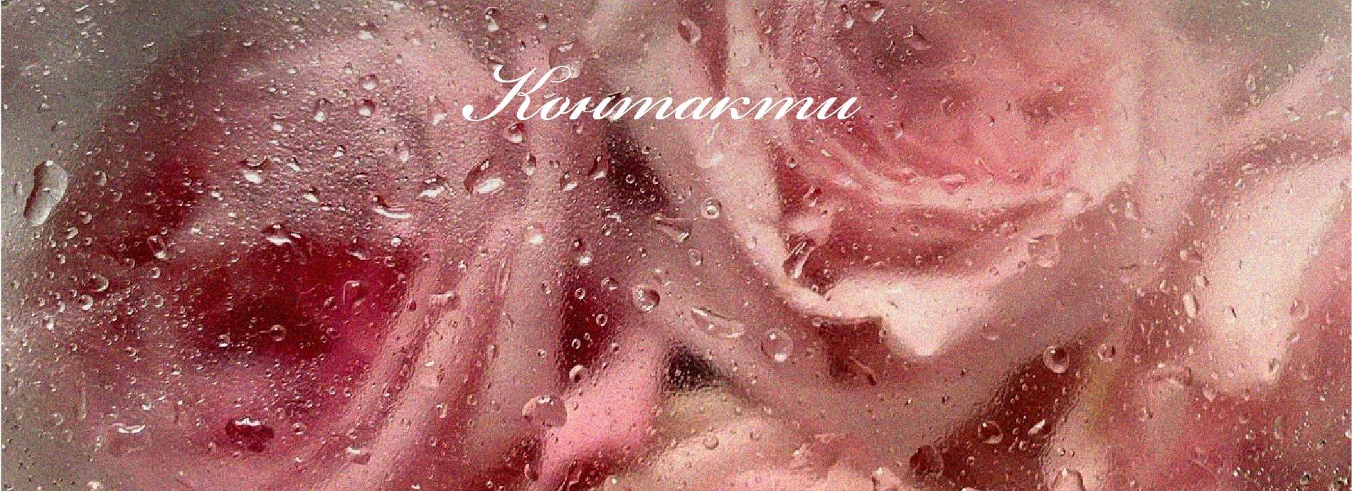 Контакты - 1