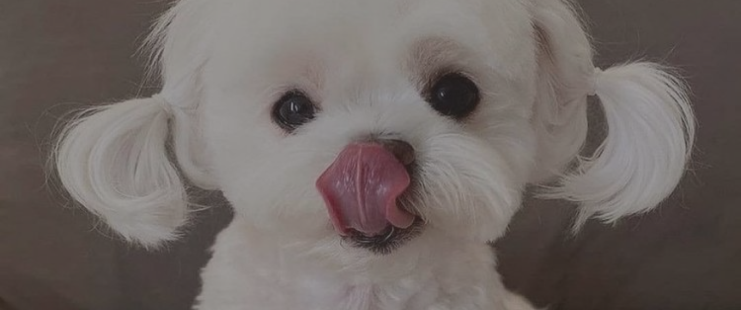 Догляд за фарбованим волоссям