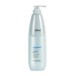 Olorchee Ice Cool Refreshing Mint Shampoo Освежающий шампунь для волос 800 мл