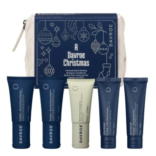 Davroe Christmas Fortitude Travel Pack Рождественский Туристический набор продуктов для волос Укрепление